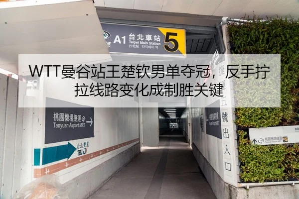 WTT曼谷站王楚钦男单夺冠，反手拧拉线路变化成制胜关键