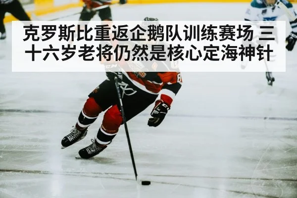 克罗斯比重返企鹅队训练赛场 三十六岁老将仍然是核心定海神针